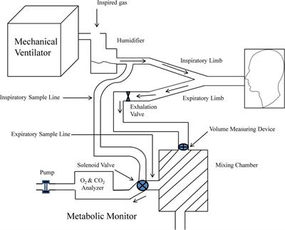 A methodological and clinical approach to measured energy expenditure in the critically ill pediatric patient